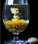   Ht Arany Tndr virgz tea (Golden Seven Fairies Tea Flower)